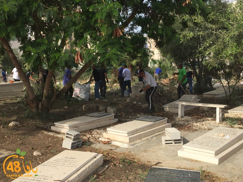 7amla lud maqbara (7).jpg